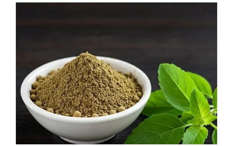 Tulsi Powder